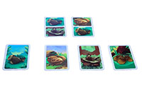 [bbgal=MeineGalerie]