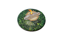 [bbgal=MeineGalerie]