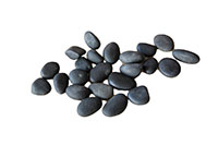 [bbgal=MeineGalerie]