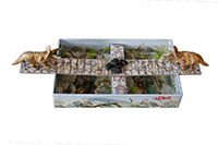 [bbgal=MeineGalerie]