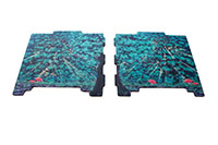 [bbgal=MeineGalerie]