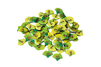 [bbgal=MeineGalerie]