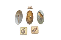 [bbgal=MeineGalerie]