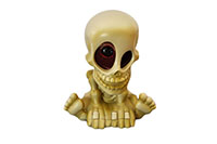 [bbgal=MeineGalerie]