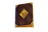 [bbgal=MeineGalerie]