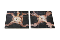 [bbgal=MeineGalerie]