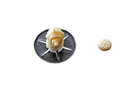 [bbgal=MeineGalerie]