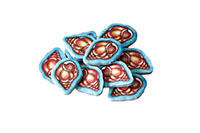 [bbgal=MeineGalerie]