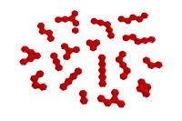 [bbgal=MeineGalerie]