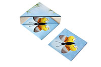 [bbgal=MeineGalerie]