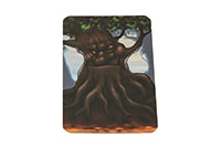 [bbgal=MeineGalerie]