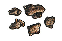 [bbgal=MeineGalerie]