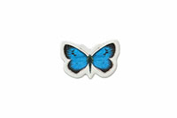 [bbgal=MeineGalerie]