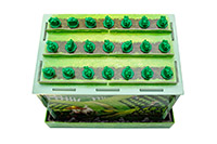 [bbgal=MeineGalerie]