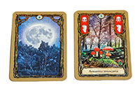 [bbgal=MeineGalerie]